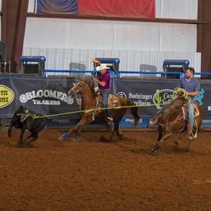 Meet your Posher, Ariel